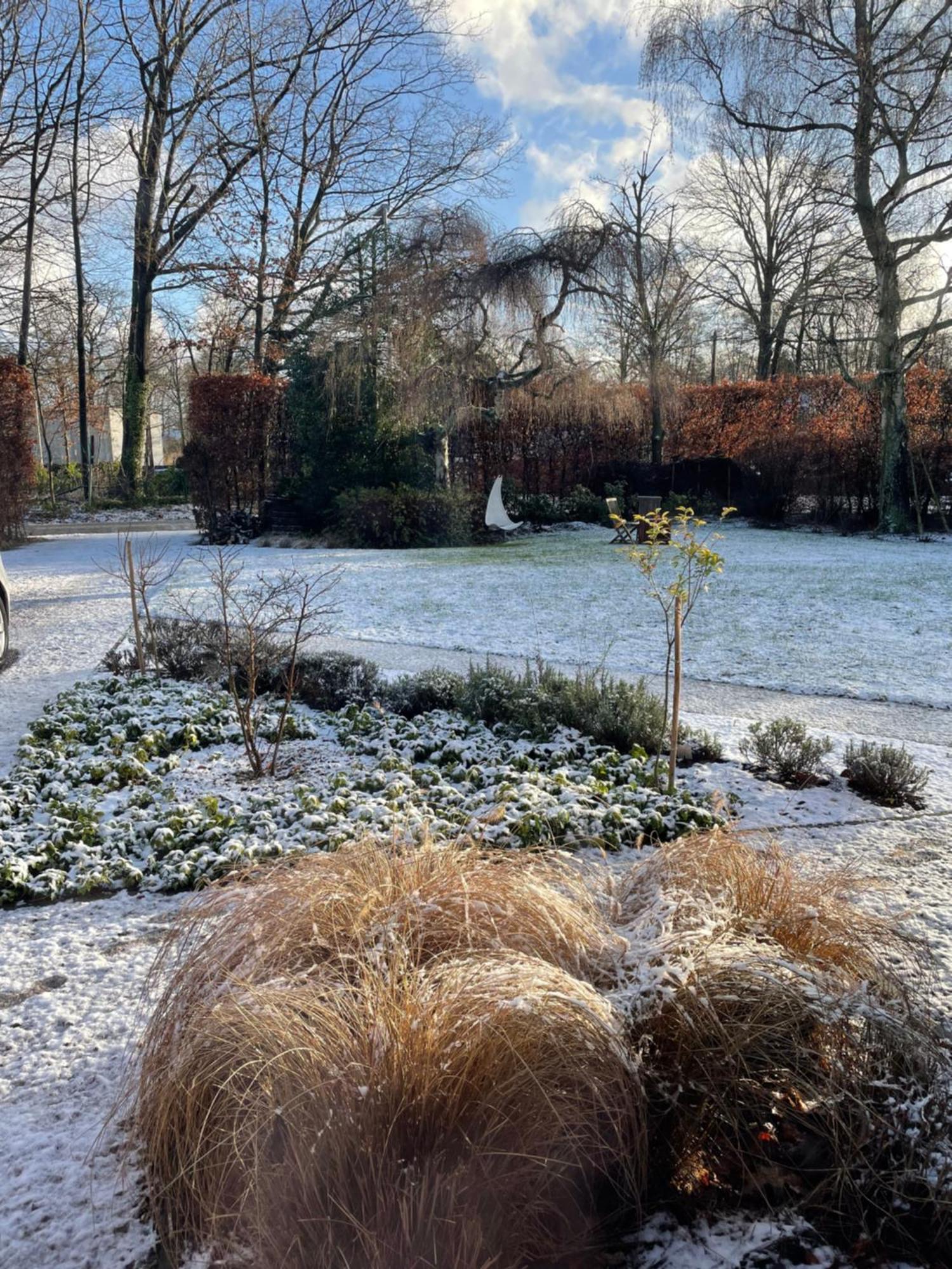 De Graslelie Lägenhet Schoten Exteriör bild