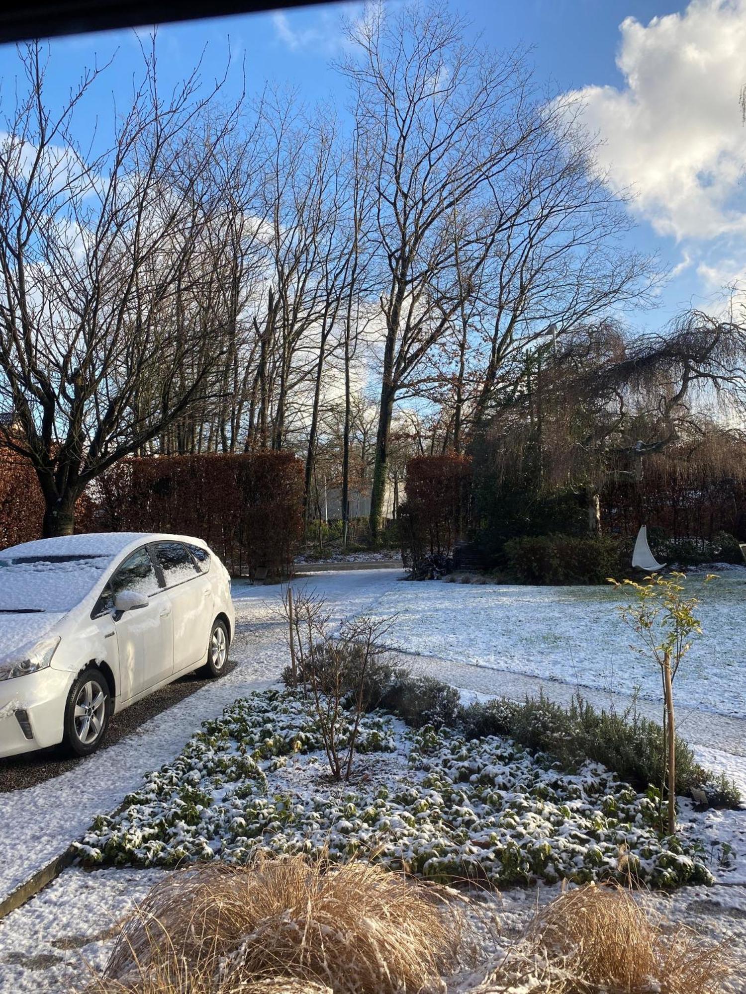 De Graslelie Lägenhet Schoten Exteriör bild