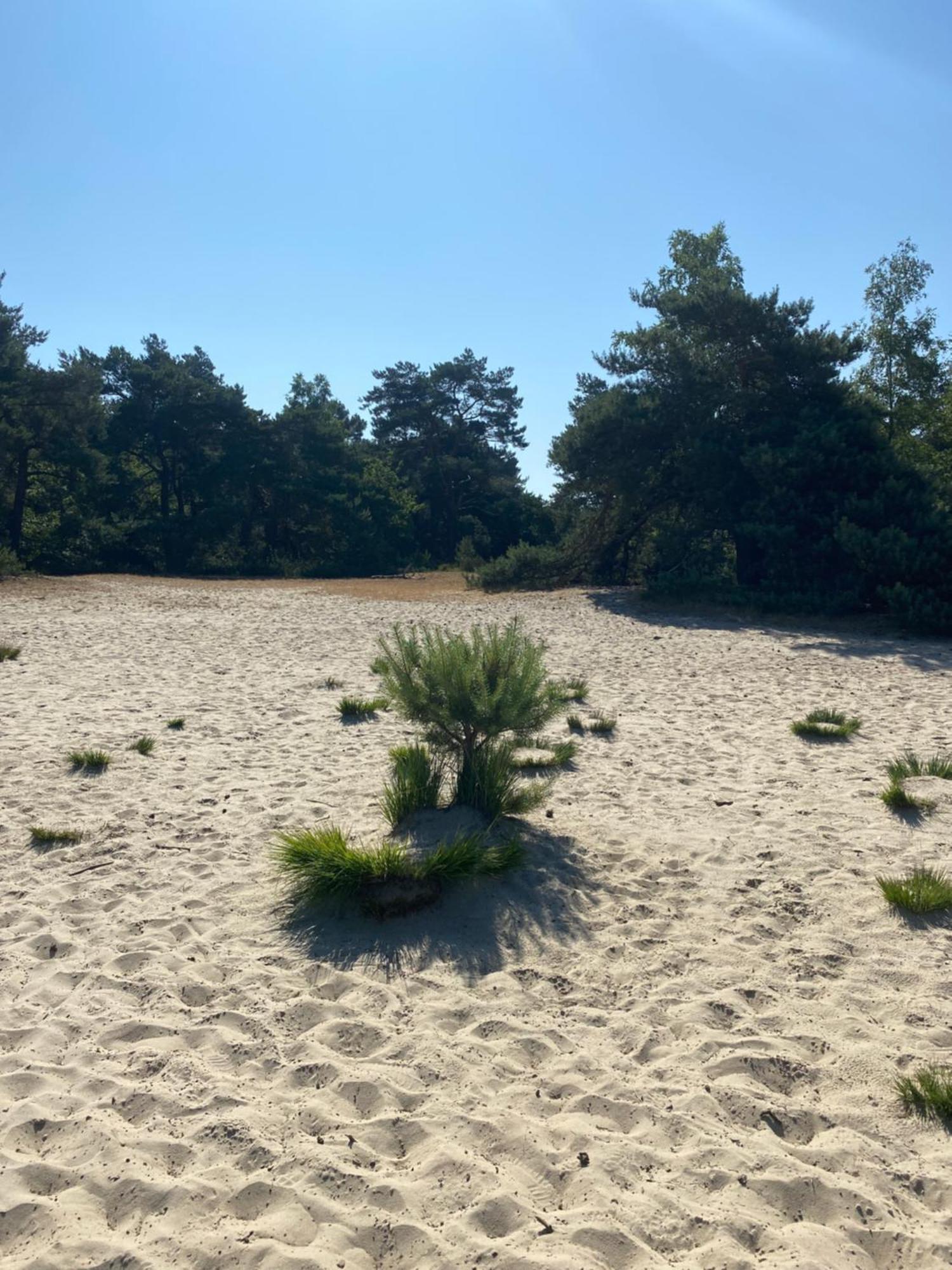 De Graslelie Lägenhet Schoten Exteriör bild